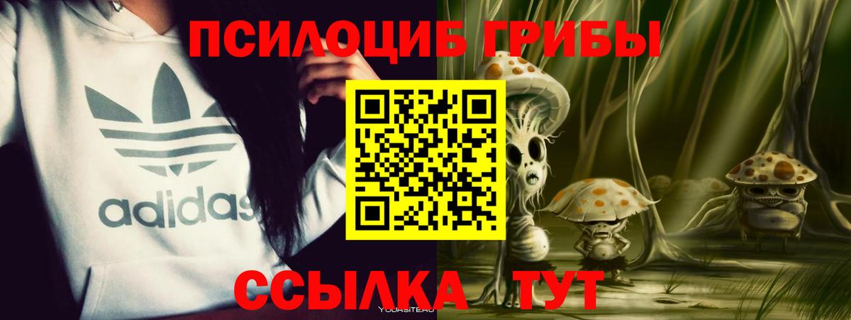 Нижневартовск  Галлюциногенные грибы Psilocybe  Галлюциногенные грибы мухоморы  Вход с VPN 